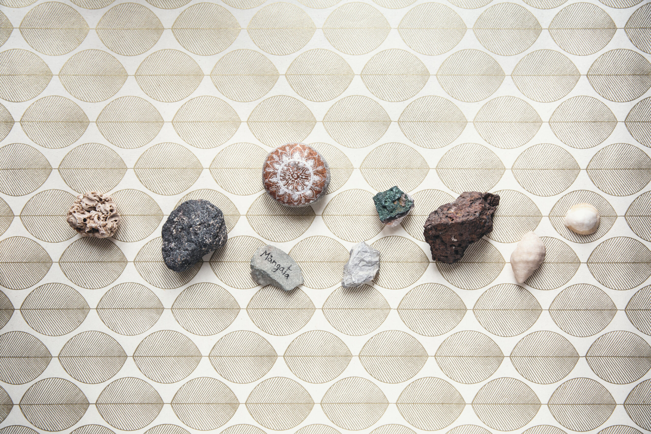 Tali Sharot - piano con conchiglie e pietre minerali