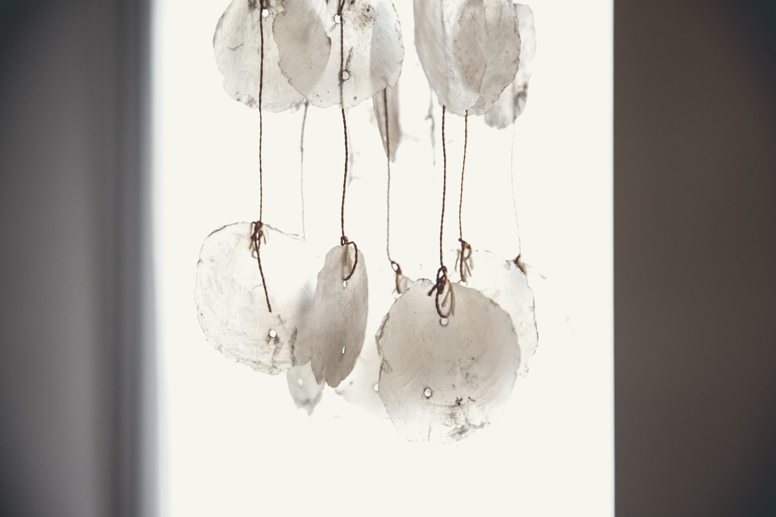 il respiro, sonaglio pendente fatto di foglie di conchiglia bianca