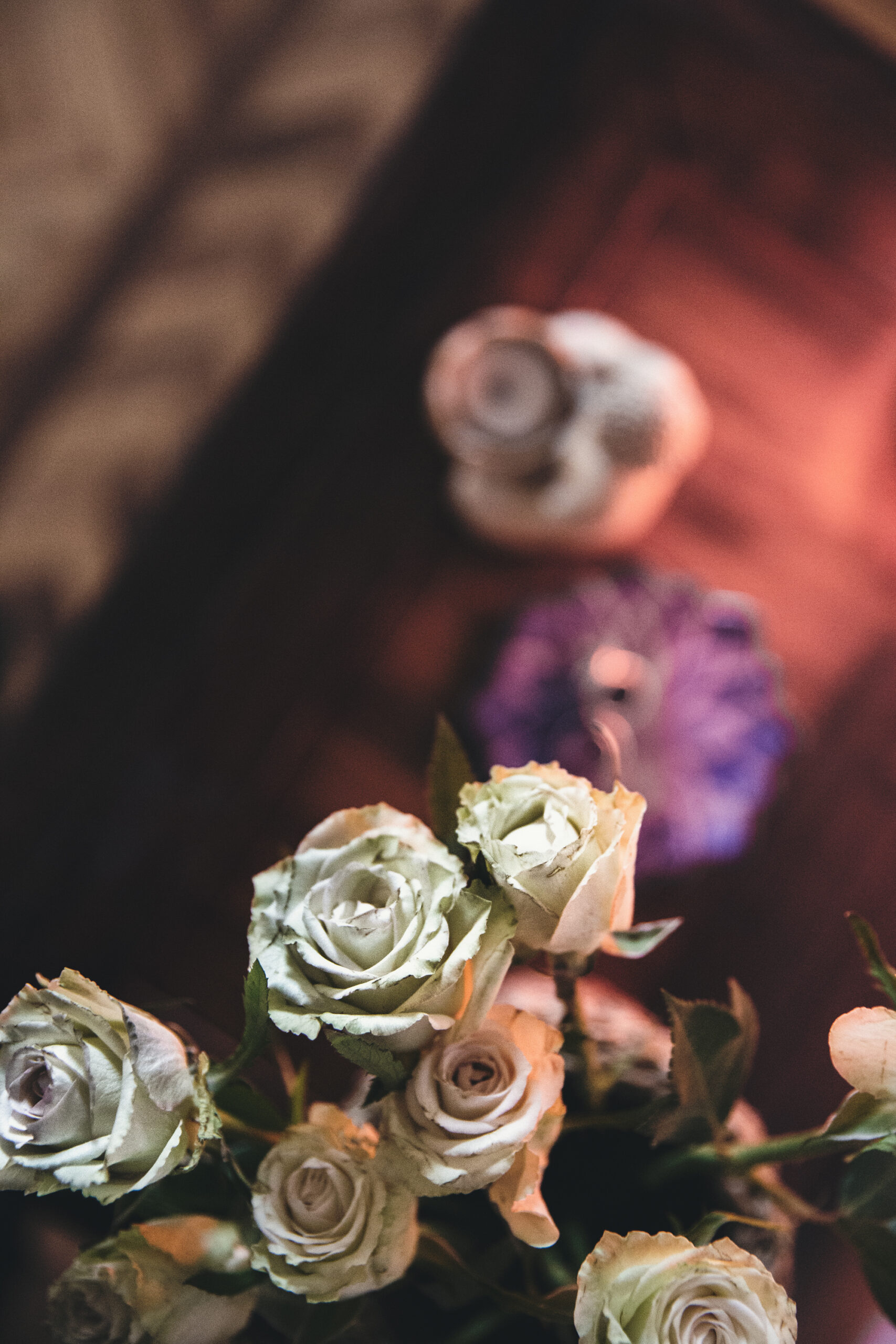 Ajahn Brahm - bocci di rosa visti dall'alto al culmine della fioritura