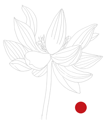 fiore punto