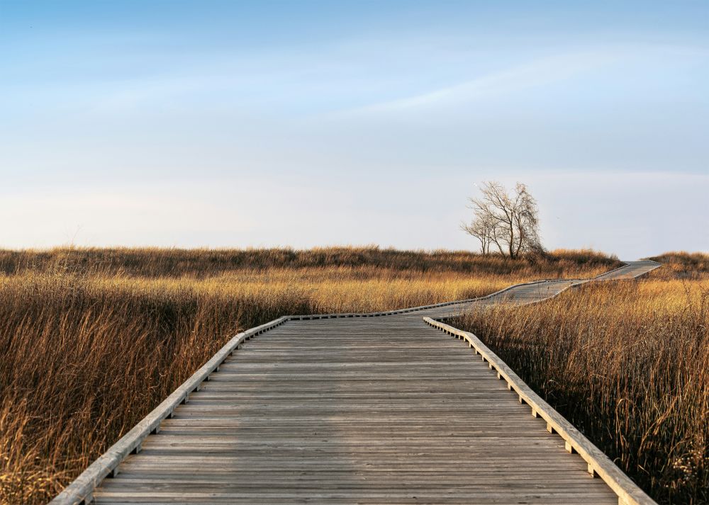 Programma di mentoring yoga